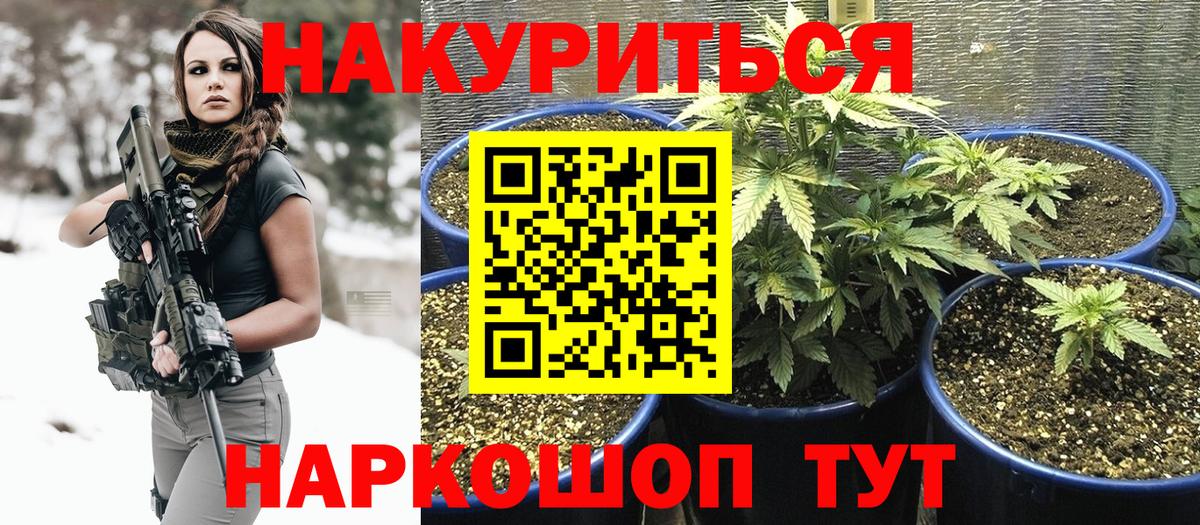 Бошки Шишки планчик Знаменск